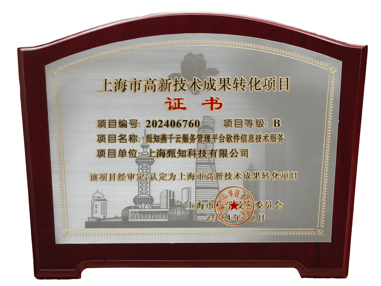 上海市高新技术成果转化项目
